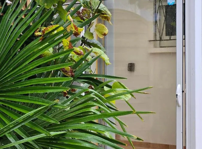 Maison Plain Pied Hyper Centre Et 300m De